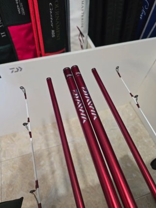 CAÑAS DAIWA TOURNAMENT CASTER II 33-425H