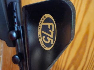 Detector Metales Fisher F75 Edición Especial
