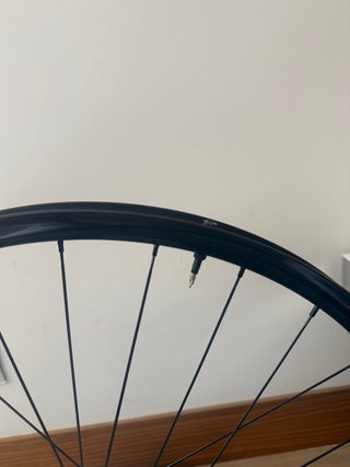 Ruota anteriore in carbonio per MTB 29" Nuova