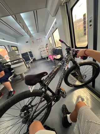 Bicicleta Dirt Jump / Stunt