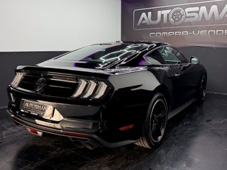 Ford Mustang 5.0 Ti-VCT V8 Mustang Mach I (Fastsb.)