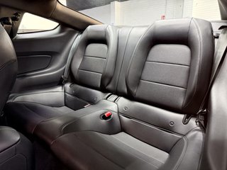 Ford Mustang 5.0 Ti-VCT V8 Mustang Mach I (Fastsb.)