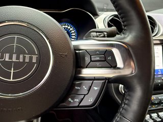 Ford Mustang 5.0 Ti-VCT V8 Mustang Mach I (Fastsb.)