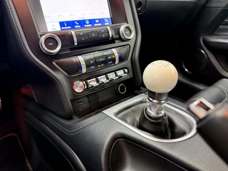 Ford Mustang 5.0 Ti-VCT V8 Mustang Mach I (Fastsb.)
