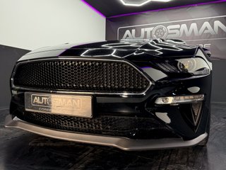 Ford Mustang 5.0 Ti-VCT V8 Mustang Mach I (Fastsb.)