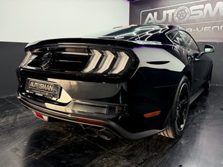 Ford Mustang 5.0 Ti-VCT V8 Mustang Mach I (Fastsb.)