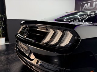 Ford Mustang 5.0 Ti-VCT V8 Mustang Mach I (Fastsb.)