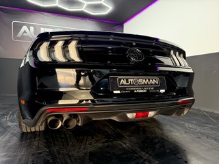Ford Mustang 5.0 Ti-VCT V8 Mustang Mach I (Fastsb.)