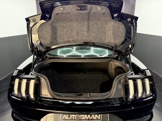 Ford Mustang 5.0 Ti-VCT V8 Mustang Mach I (Fastsb.)