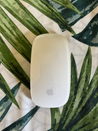 Lote Apple: Watch SE + AirPods 2 + Magic Mouse