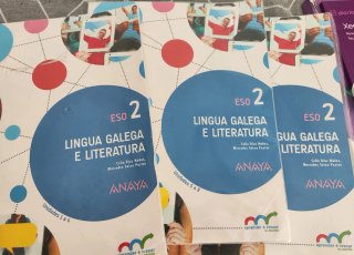 Lingua galega e literatura, ESO 2