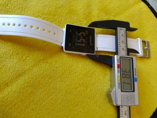 Garmin vívoactive Smartwatch GPS Blanco