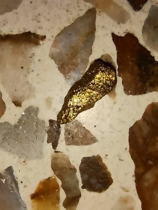 Pepita de oro