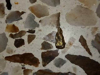 Pepita de oro