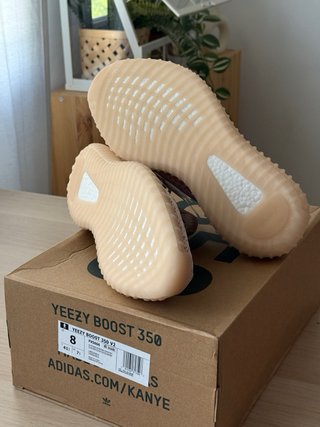 Adidas Yeezy Boost 350 V2