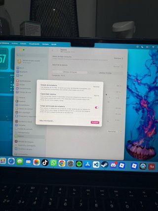 Macbook Air M3 13,6”