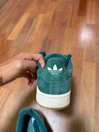 Adidas campus verdi