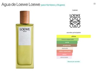 Loewe Agua 100ml Perfume Original