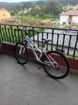Bicicleta B-PRO Donna/Adulto