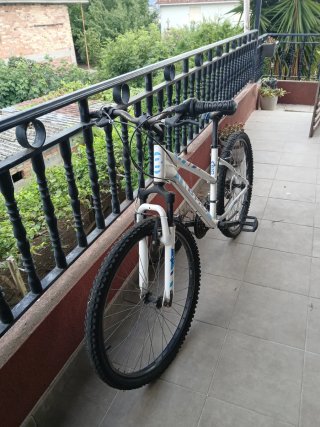 Bicicleta B-PRO Donna/Adulto