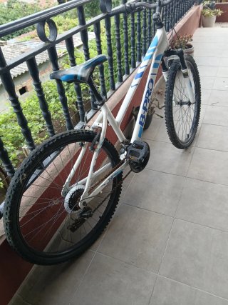 Bicicleta B-PRO Donna/Adulto