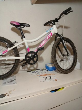 Bicicleta niña 20 pulgadas