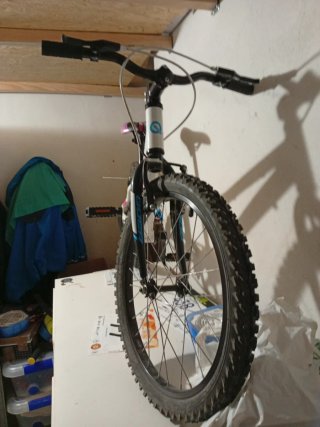 Bicicleta niña 20 pulgadas