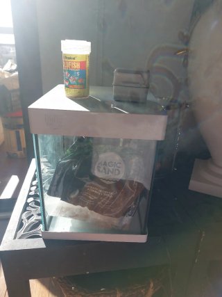 Acuario Nano LED Cristal