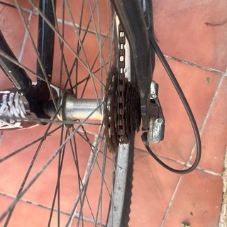 Bicicleta DTB Storm 7.0
