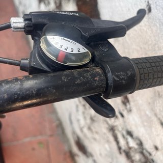 Bicicleta DTB Storm 7.0