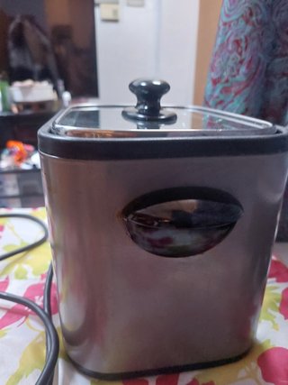 Freidora Eléctrica Pequeña