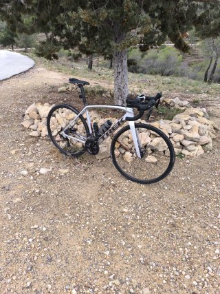 Trek Émonda SL5 Disc - Bicicleta de carretera