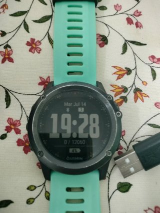 Garmin Fenix 3
