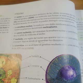 Biología y Geología, 3o ESO.