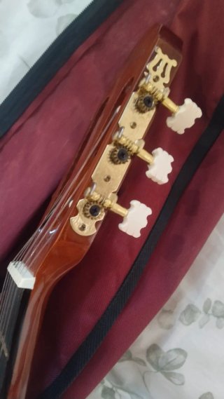 Guitarra Española Clásica + Funda