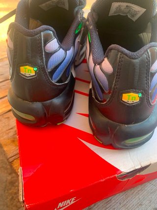 Nike TN Air Max Plus Azul/Verde