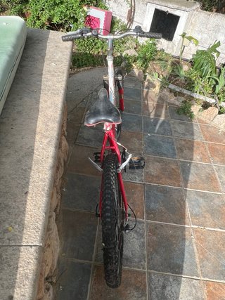 Bicicleta Globe Trotter para arreglar