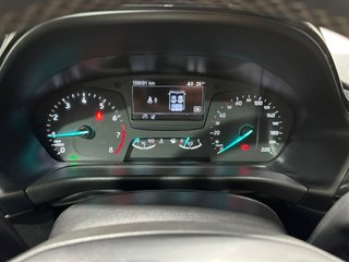 Ford Fiesta 100 Active