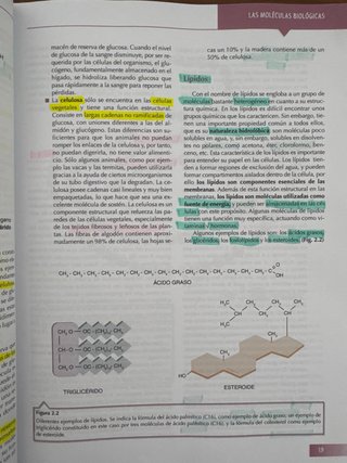 UNED - Biología básica