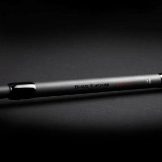 2 cañas Daiwa Black Widow 10' 3.5lb