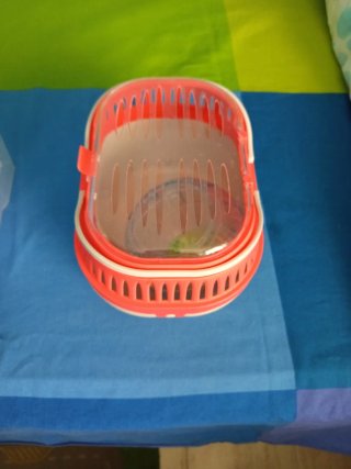 Jaula para hámster de 3 niveles