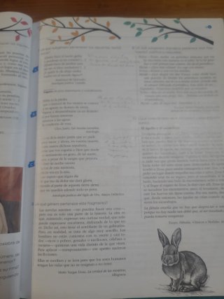 Lengua y literatura 3 ESO