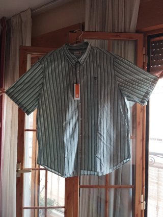 Camisa manga corta Timberland verde y blanco