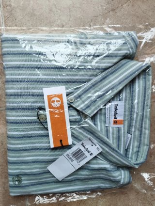 Camisa manga corta Timberland verde y blanco
