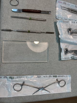 Material Odontológico para grado en odontología