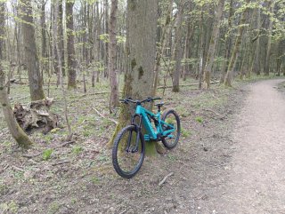 Focus Jam2 Bicicleta Eléctrica Montaña