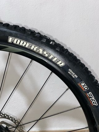 Giant Stance Talla S. 2020