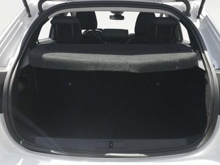 Peugeot 208 BlueHDi 100 Active 75 kW (100 CV)