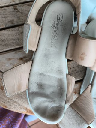 Sandalias Panama Jack Beige Mujer