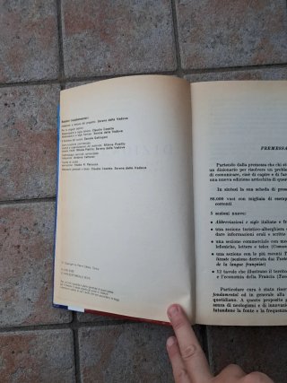 Dizionario italiano-francese, francese-italiano